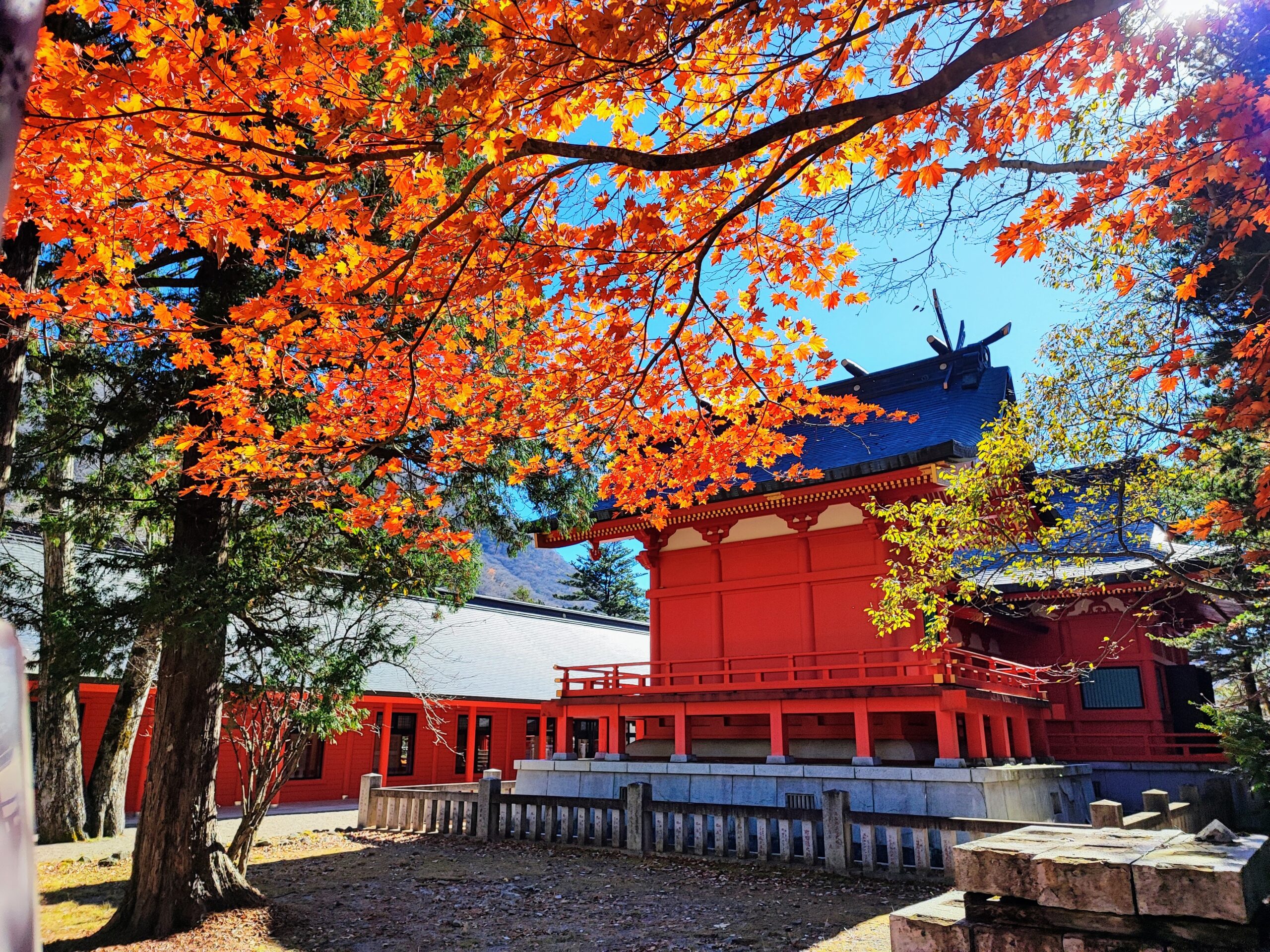 赤城山神社紅葉